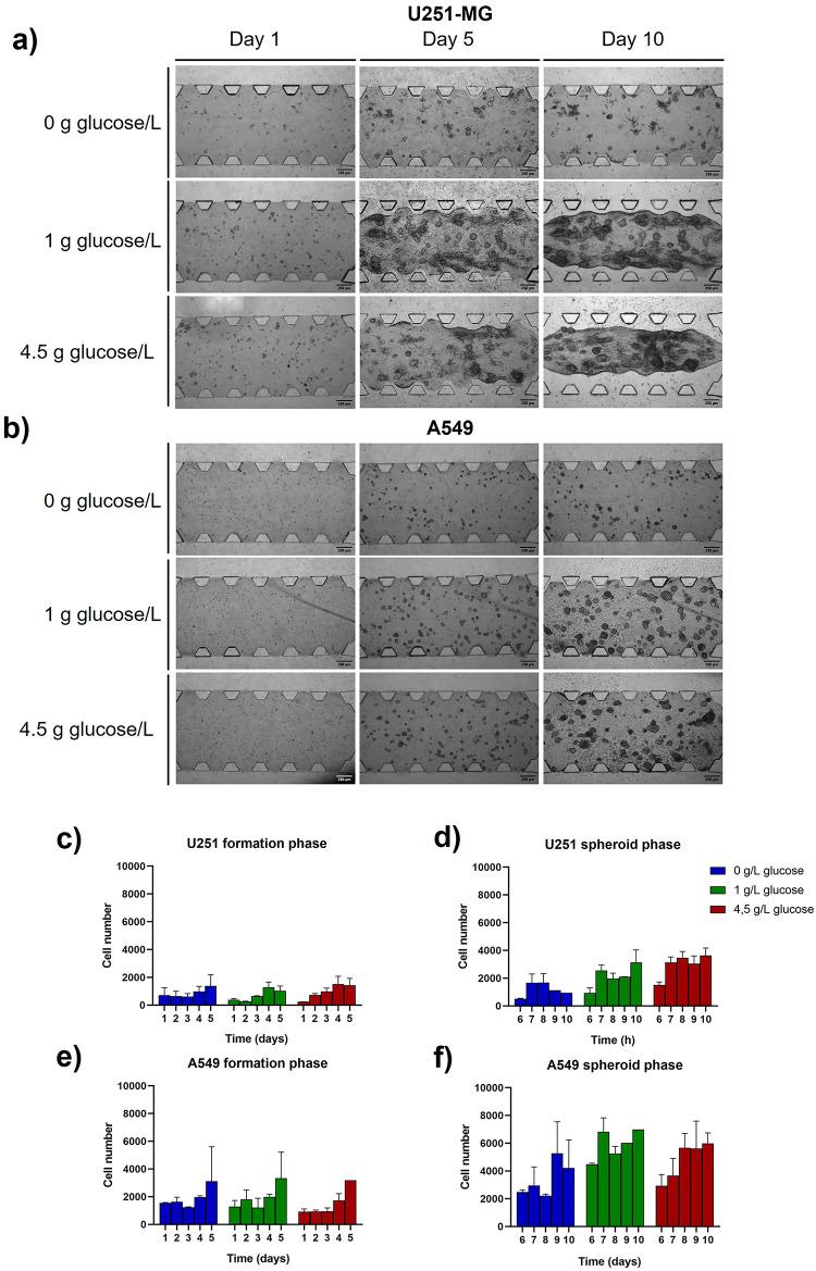 https://cdn.ncbi.nlm.nih.gov/pmc/blobs/b4be/12134292/d81fc21c8c45/41598_2025_3504_Fig3_HTML.jpg