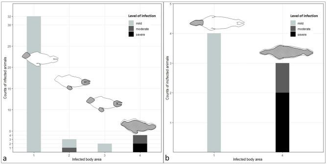 https://cdn.ncbi.nlm.nih.gov/pmc/blobs/b4c0/11190234/dd59bbad7109/41598_2024_64890_Fig3_HTML.jpg