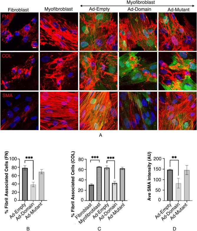 https://cdn.ncbi.nlm.nih.gov/pmc/blobs/b4c0/11686354/2525cabe5a49/41598_2024_83187_Fig2_HTML.jpg