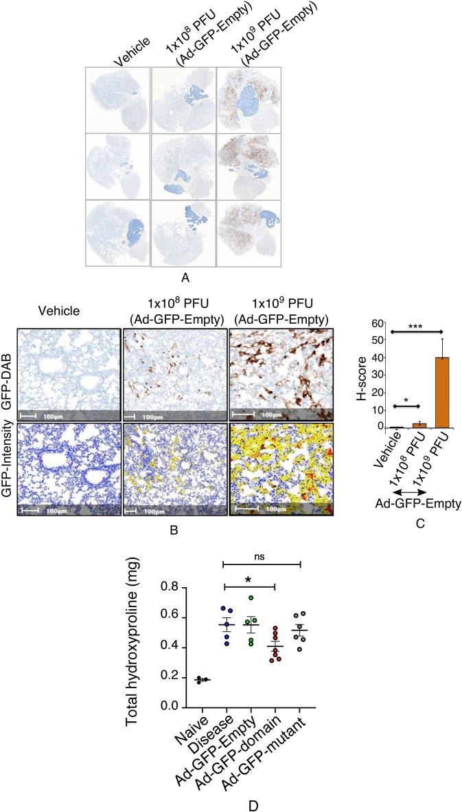 https://cdn.ncbi.nlm.nih.gov/pmc/blobs/b4c0/11686354/7e9ee6234e26/41598_2024_83187_Fig6_HTML.jpg