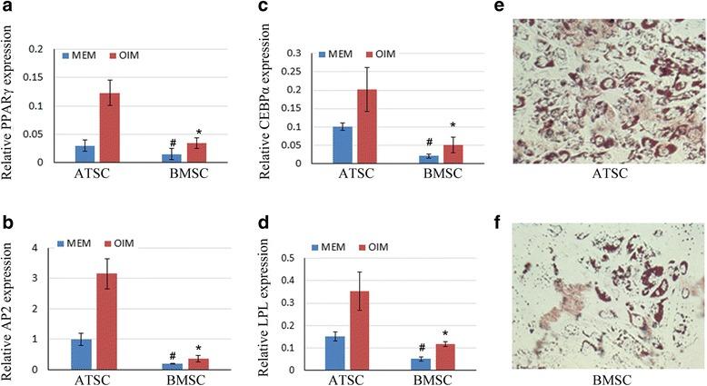 https://cdn.ncbi.nlm.nih.gov/pmc/blobs/b4c1/5718061/23d6ac2e6390/13287_2017_716_Fig3_HTML.jpg