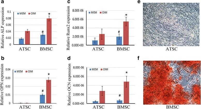 https://cdn.ncbi.nlm.nih.gov/pmc/blobs/b4c1/5718061/303c5355d39f/13287_2017_716_Fig2_HTML.jpg