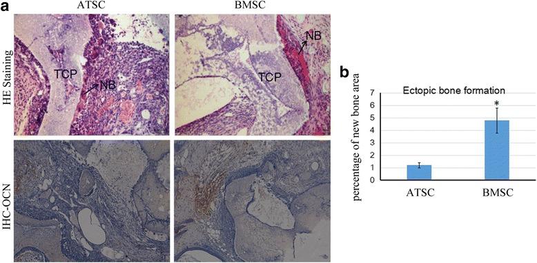 https://cdn.ncbi.nlm.nih.gov/pmc/blobs/b4c1/5718061/5185f916b581/13287_2017_716_Fig6_HTML.jpg