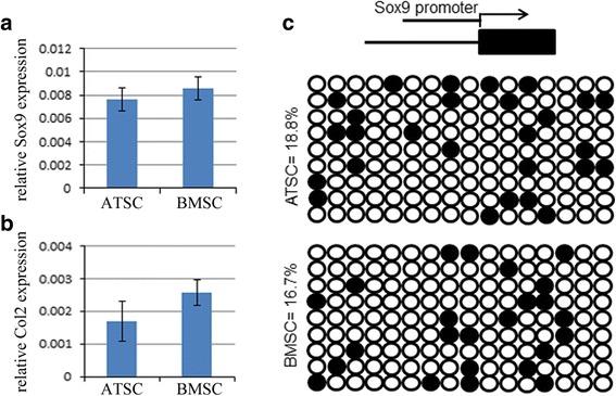 https://cdn.ncbi.nlm.nih.gov/pmc/blobs/b4c1/5718061/75c416452967/13287_2017_716_Fig5_HTML.jpg