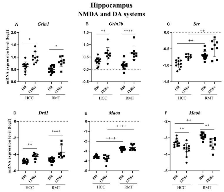 https://cdn.ncbi.nlm.nih.gov/pmc/blobs/b4c1/8227283/82fef9a21789/brainsci-11-00725-g007.jpg