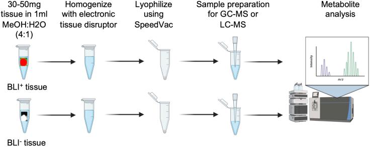 https://cdn.ncbi.nlm.nih.gov/pmc/blobs/b4c1/9048131/1ac381c0ad88/gr3.jpg