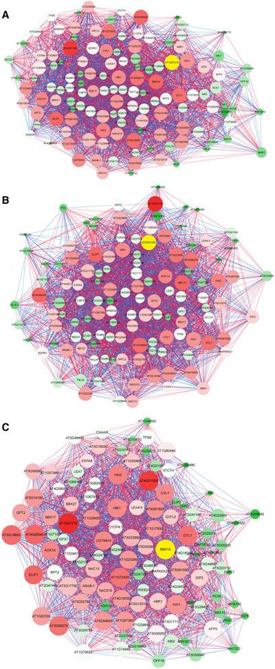 https://cdn.ncbi.nlm.nih.gov/pmc/blobs/b4c3/7030938/89ec992e3ad7/nihms-1547112-f0005.jpg