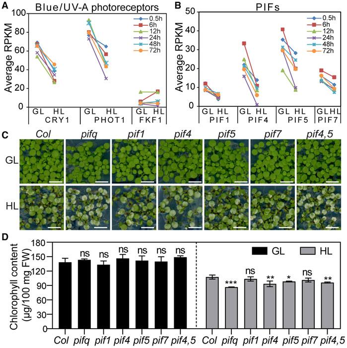 https://cdn.ncbi.nlm.nih.gov/pmc/blobs/b4c3/7030938/e7c5656ece8f/nihms-1547112-f0007.jpg