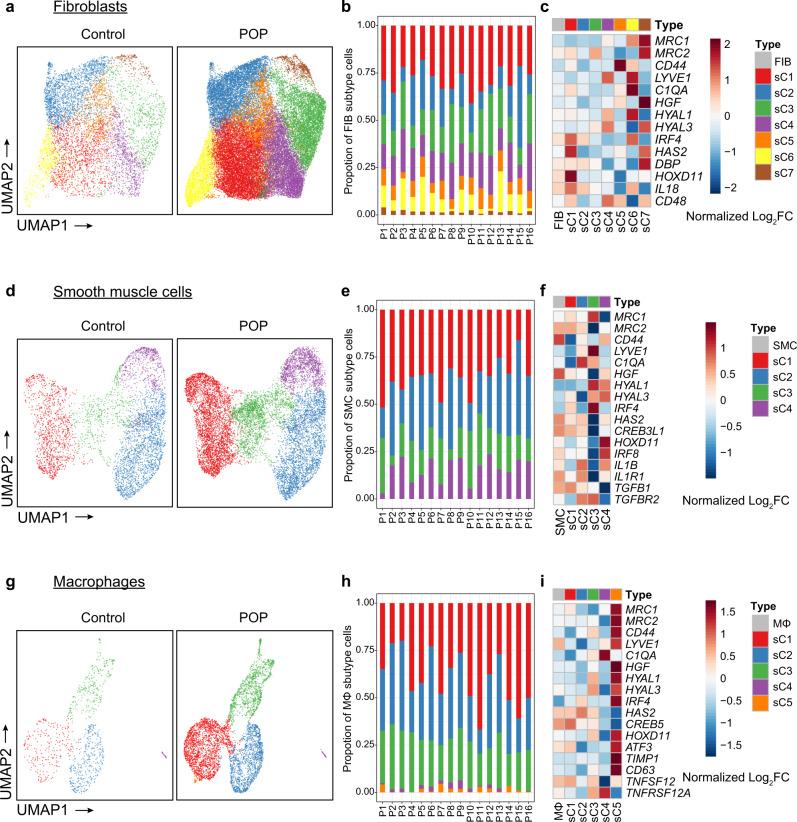 https://cdn.ncbi.nlm.nih.gov/pmc/blobs/b4c4/7782707/46c1785c24f4/41467_2020_20358_Fig5_HTML.jpg
