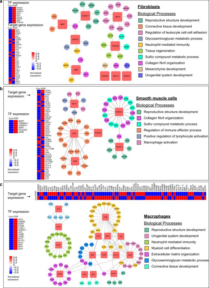 https://cdn.ncbi.nlm.nih.gov/pmc/blobs/b4c4/7782707/542d4fcd07ec/41467_2020_20358_Fig3_HTML.jpg