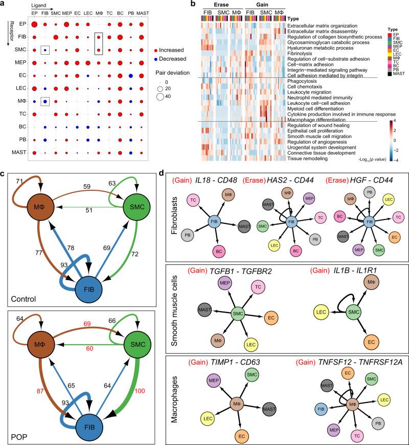 https://cdn.ncbi.nlm.nih.gov/pmc/blobs/b4c4/7782707/d4b9575b47ae/41467_2020_20358_Fig4_HTML.jpg