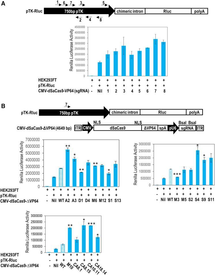 https://cdn.ncbi.nlm.nih.gov/pmc/blobs/b4c5/9198377/215f48b0fb18/gr4.jpg