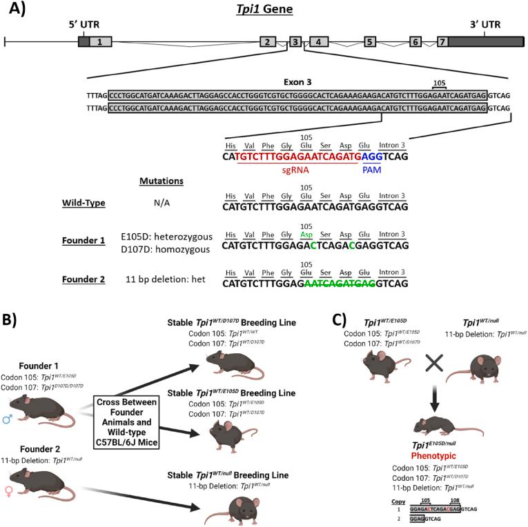 https://cdn.ncbi.nlm.nih.gov/pmc/blobs/b4c8/9673098/dc063fa25710/gr1.jpg