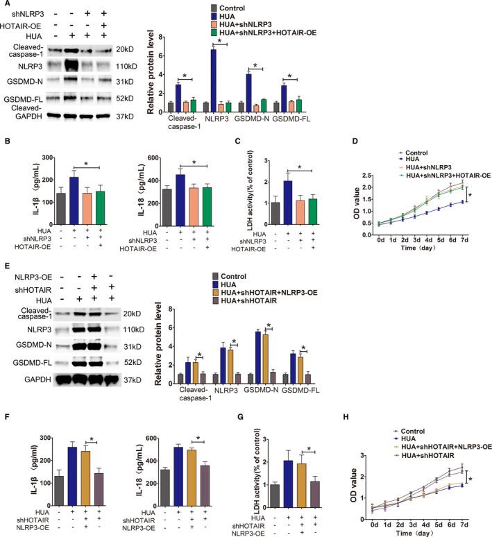 https://cdn.ncbi.nlm.nih.gov/pmc/blobs/b4ca/8419175/00b5912a61ca/JCMM-25-8504-g006.jpg