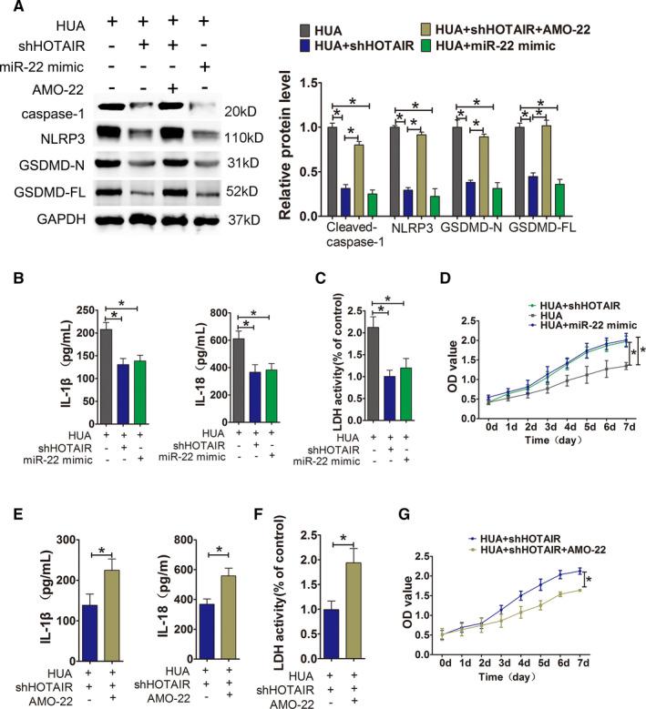 https://cdn.ncbi.nlm.nih.gov/pmc/blobs/b4ca/8419175/3d12f3c924c7/JCMM-25-8504-g004.jpg