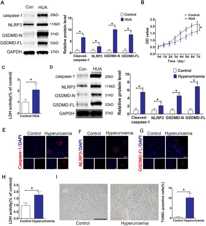 https://cdn.ncbi.nlm.nih.gov/pmc/blobs/b4ca/8419175/6a04a767be70/JCMM-25-8504-g005.jpg