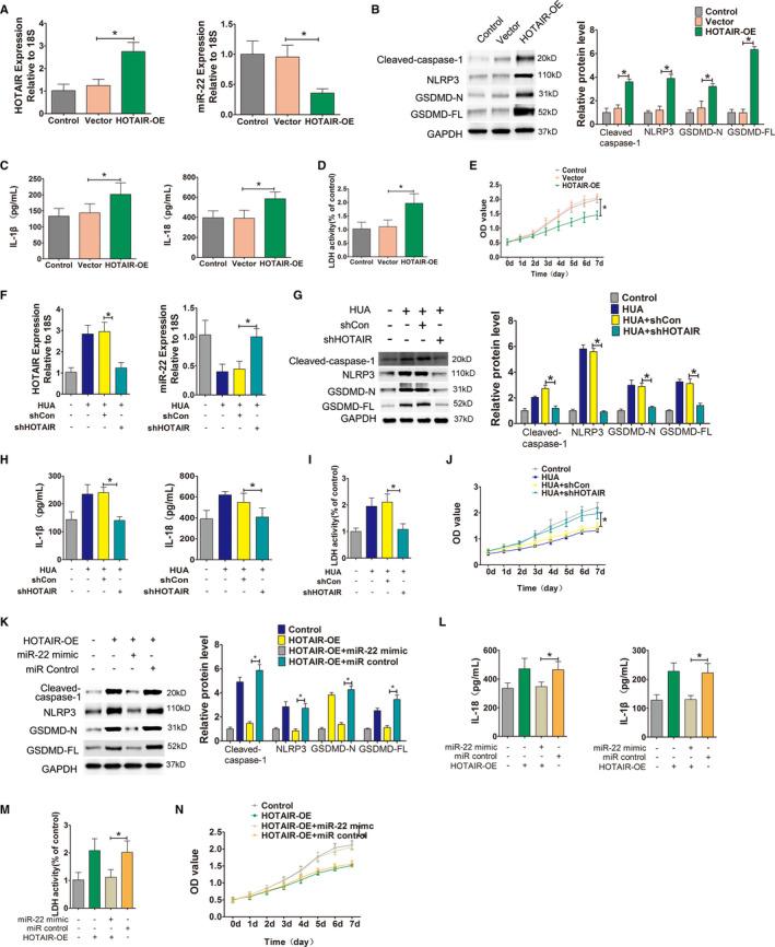 https://cdn.ncbi.nlm.nih.gov/pmc/blobs/b4ca/8419175/9864b3238024/JCMM-25-8504-g001.jpg
