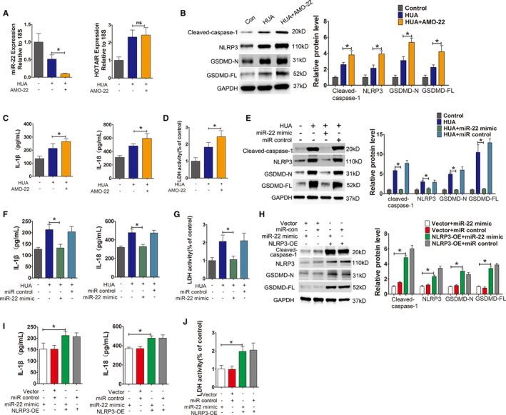 https://cdn.ncbi.nlm.nih.gov/pmc/blobs/b4ca/8419175/ceeac0db3e0d/JCMM-25-8504-g007.jpg