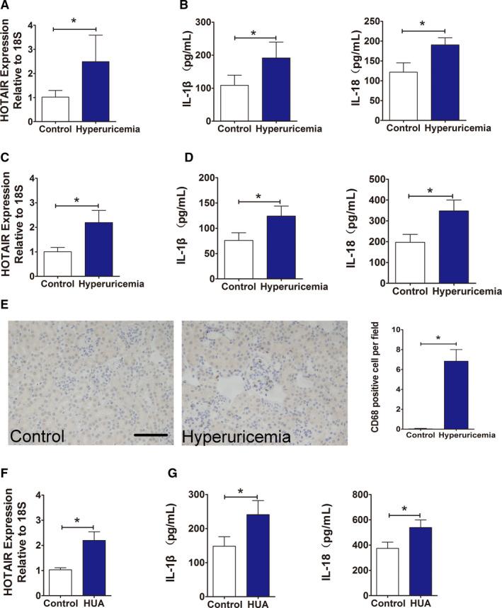 https://cdn.ncbi.nlm.nih.gov/pmc/blobs/b4ca/8419175/cf3aebeda0bb/JCMM-25-8504-g002.jpg