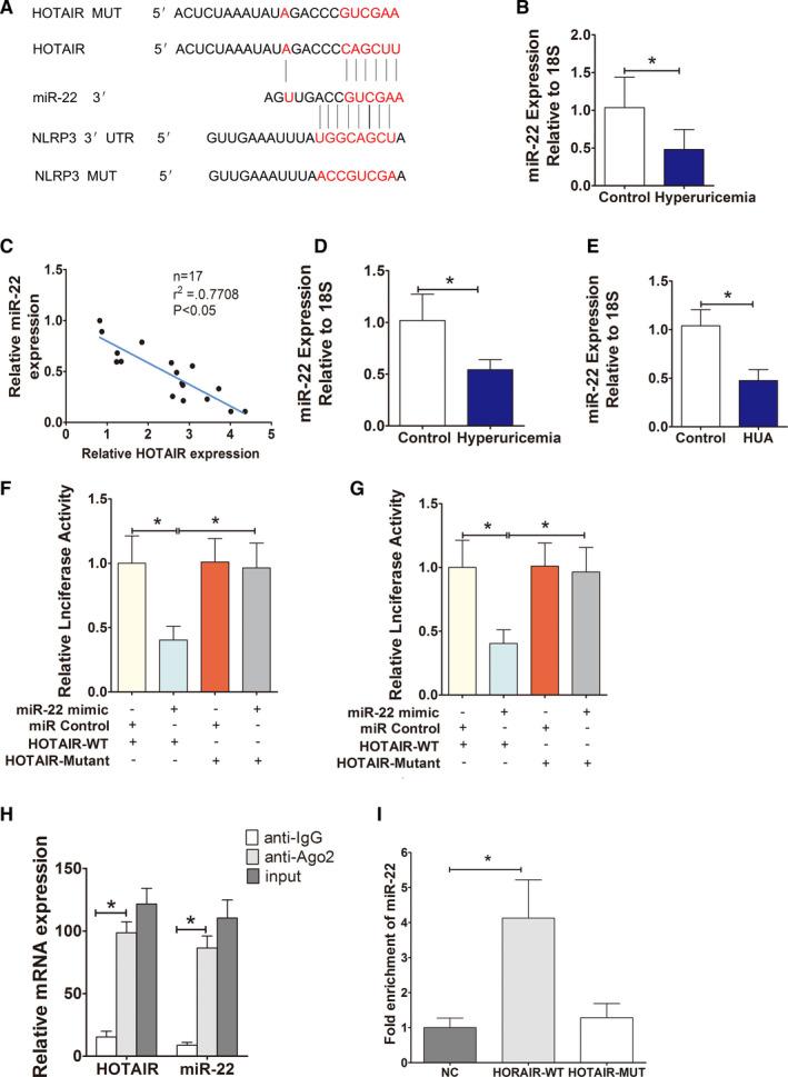 https://cdn.ncbi.nlm.nih.gov/pmc/blobs/b4ca/8419175/d63eba4ee56b/JCMM-25-8504-g008.jpg