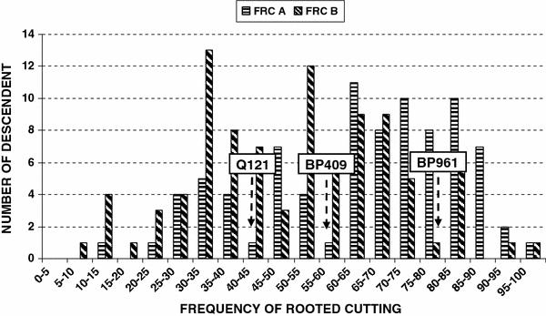 https://cdn.ncbi.nlm.nih.gov/pmc/blobs/b4cc/2839466/33e939f48e65/299_2010_825_Fig4_HTML.jpg