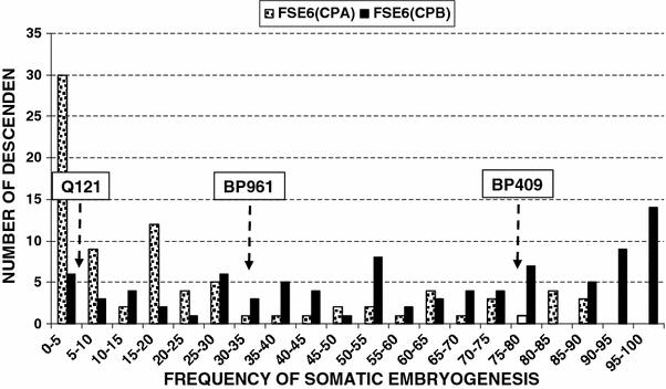 https://cdn.ncbi.nlm.nih.gov/pmc/blobs/b4cc/2839466/8bf09fe05c9c/299_2010_825_Fig3_HTML.jpg