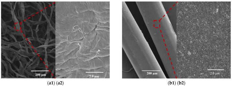 https://cdn.ncbi.nlm.nih.gov/pmc/blobs/b4cc/8539181/d14e07fa6022/nanomaterials-11-02664-g004a.jpg