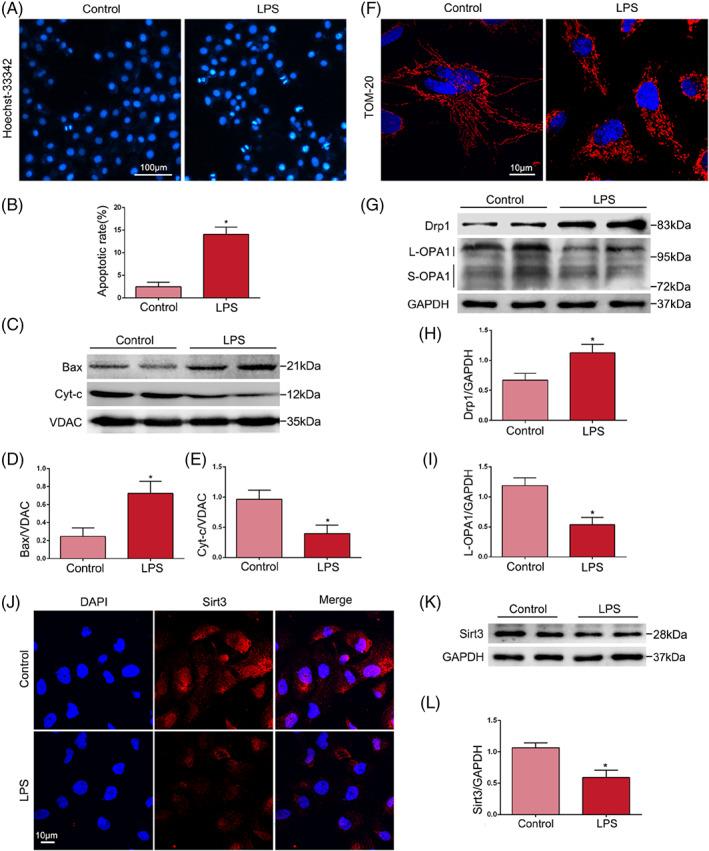 https://cdn.ncbi.nlm.nih.gov/pmc/blobs/b4cc/9890524/3fb59949deb4/CPR-56-e13362-g006.jpg