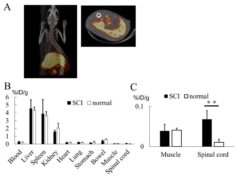 https://cdn.ncbi.nlm.nih.gov/pmc/blobs/b4cd/10889446/a56ccf351f4b/ijms-25-02406-g007.jpg