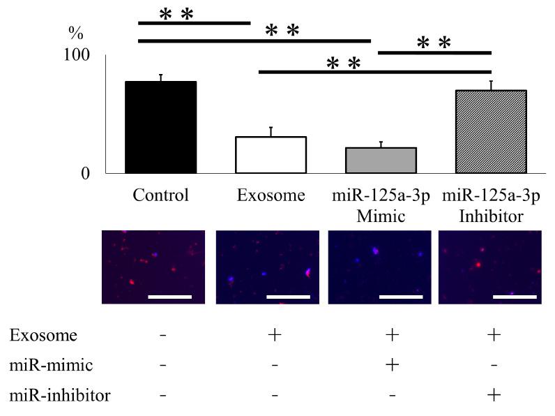 https://cdn.ncbi.nlm.nih.gov/pmc/blobs/b4cd/10889446/c6150e55d5d3/ijms-25-02406-g006.jpg
