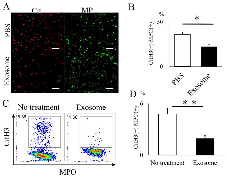 https://cdn.ncbi.nlm.nih.gov/pmc/blobs/b4cd/10889446/ca22e72370d7/ijms-25-02406-g005.jpg