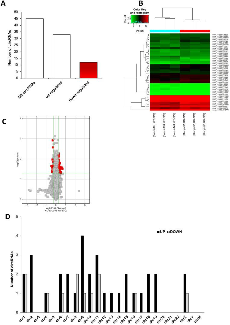 https://cdn.ncbi.nlm.nih.gov/pmc/blobs/b4cd/9379403/a45c489503b7/ijbsv18p5136g002.jpg