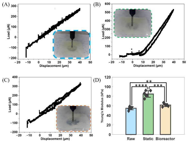 https://cdn.ncbi.nlm.nih.gov/pmc/blobs/b4ce/11504039/2244745b6b53/bioengineering-11-00955-g004.jpg