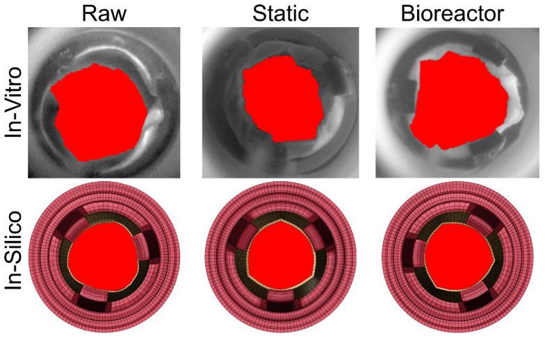 https://cdn.ncbi.nlm.nih.gov/pmc/blobs/b4ce/11504039/46dadba1b176/bioengineering-11-00955-g007.jpg