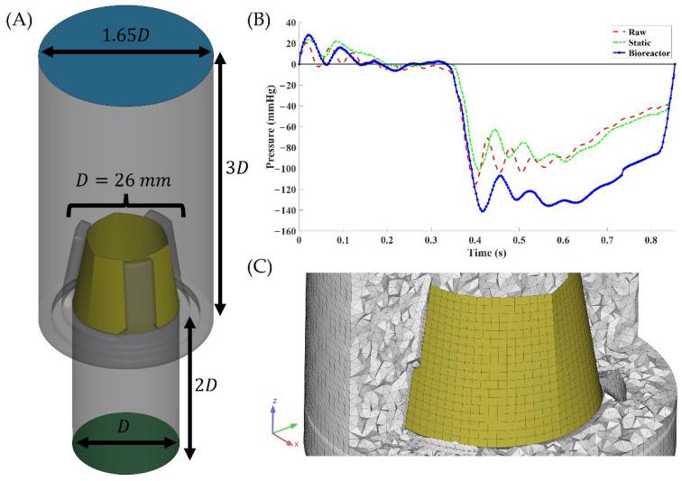 https://cdn.ncbi.nlm.nih.gov/pmc/blobs/b4ce/11504039/93fcb7a85e91/bioengineering-11-00955-g002.jpg