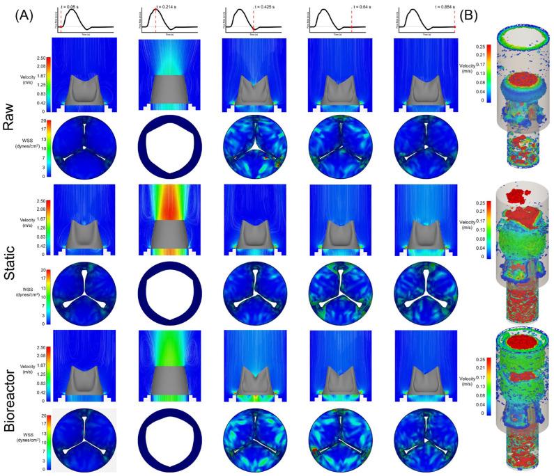 https://cdn.ncbi.nlm.nih.gov/pmc/blobs/b4ce/11504039/f9b4e07ad9ca/bioengineering-11-00955-g005.jpg