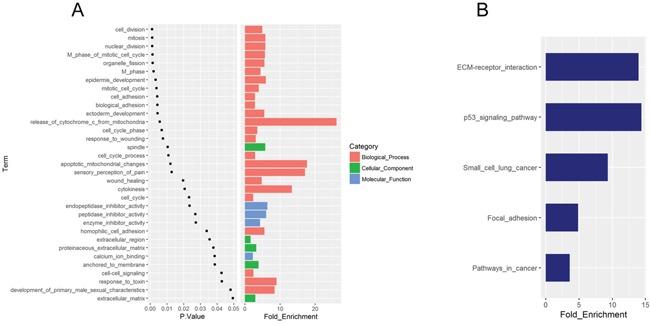 https://cdn.ncbi.nlm.nih.gov/pmc/blobs/b4ce/5400583/f458f78234e3/oncotarget-08-21281-g002.jpg
