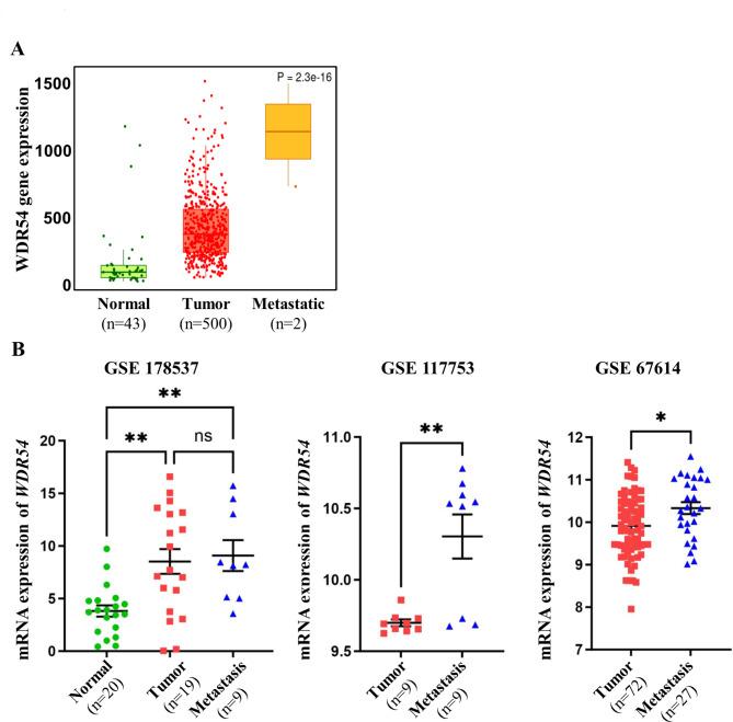 https://cdn.ncbi.nlm.nih.gov/pmc/blobs/b4cf/11686289/4af22ba19c62/41598_2024_83680_Fig4_HTML.jpg