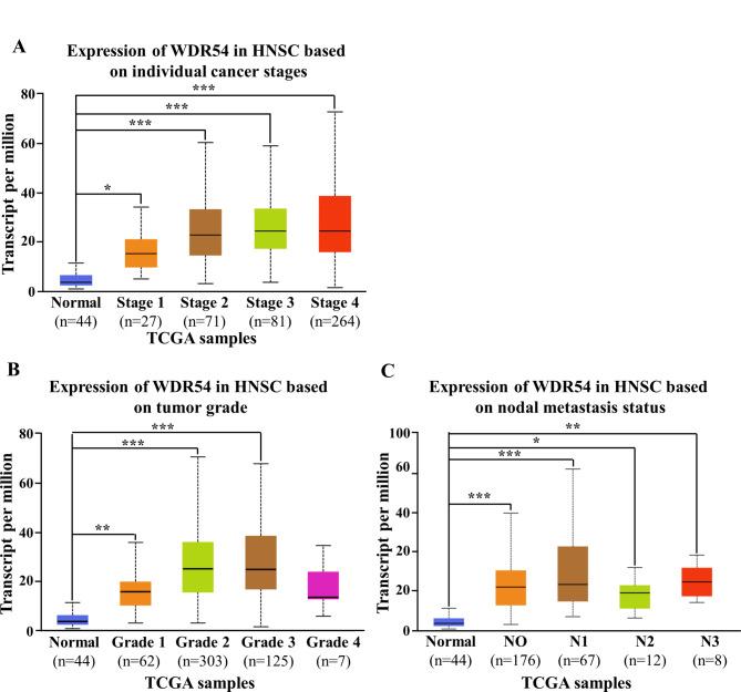 https://cdn.ncbi.nlm.nih.gov/pmc/blobs/b4cf/11686289/960d886c5233/41598_2024_83680_Fig3_HTML.jpg