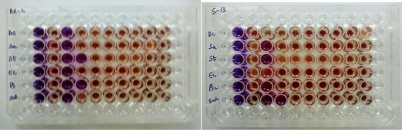 https://cdn.ncbi.nlm.nih.gov/pmc/blobs/b4cf/7732840/0cb1c79416ac/41598_2020_78086_Fig3_HTML.jpg