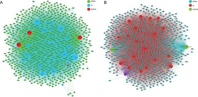 https://cdn.ncbi.nlm.nih.gov/pmc/blobs/b4d0/5216934/8a3f1d45fed4/oncotarget-07-47186-g009.jpg