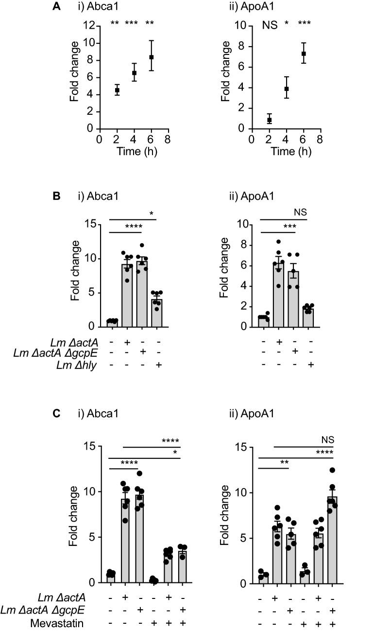 https://cdn.ncbi.nlm.nih.gov/pmc/blobs/b4d1/8358051/8117849f079a/41598_2021_95908_Fig4_HTML.jpg