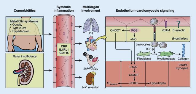 https://cdn.ncbi.nlm.nih.gov/pmc/blobs/b4d1/9355932/8fd56151489d/59_2022_5123_Fig3_HTML.jpg