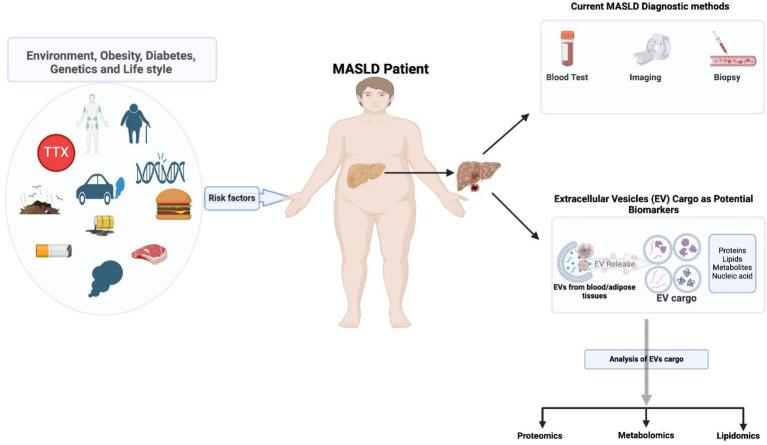 https://cdn.ncbi.nlm.nih.gov/pmc/blobs/b4d2/11919916/a0074bc7f7c4/fmed-12-1513598-g002.jpg