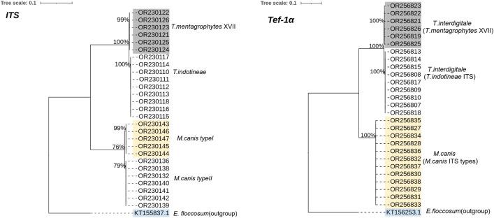https://cdn.ncbi.nlm.nih.gov/pmc/blobs/b4d6/11148054/1a4483b94ccc/41598_2024_63425_Fig3_HTML.jpg