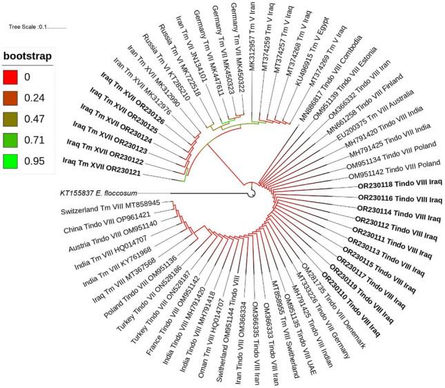 https://cdn.ncbi.nlm.nih.gov/pmc/blobs/b4d6/11148054/a199ccfd5b58/41598_2024_63425_Fig4_HTML.jpg