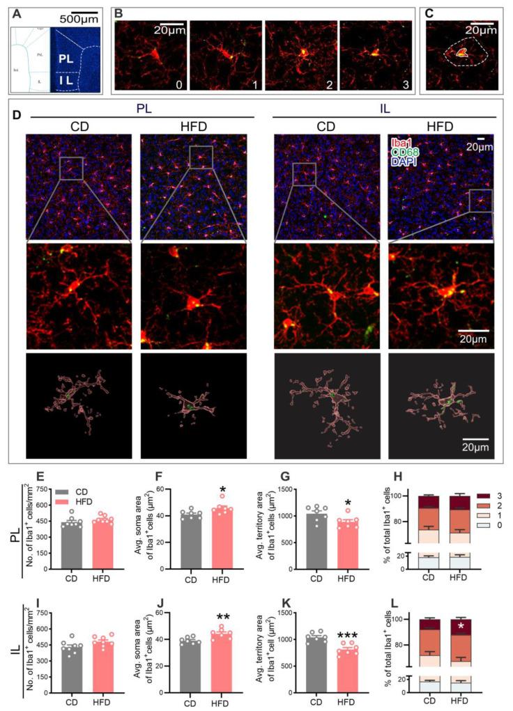 https://cdn.ncbi.nlm.nih.gov/pmc/blobs/b4d7/10253629/3995d170705c/ijms-24-09394-g005.jpg