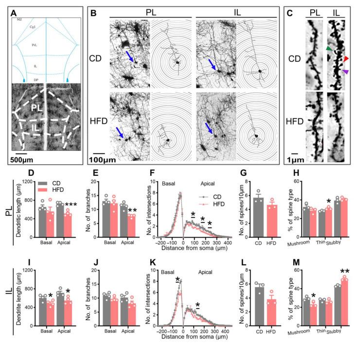 https://cdn.ncbi.nlm.nih.gov/pmc/blobs/b4d7/10253629/deb13c3c1798/ijms-24-09394-g004.jpg