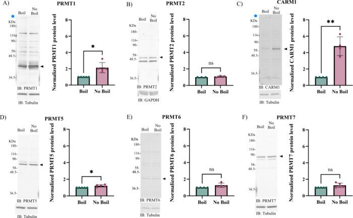https://cdn.ncbi.nlm.nih.gov/pmc/blobs/b4d9/11425859/4fd7638f133c/ao4c06360_0004.jpg