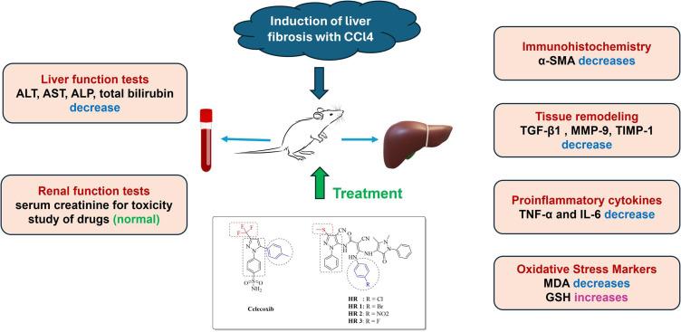 https://cdn.ncbi.nlm.nih.gov/pmc/blobs/b4d9/12087607/16e945f37d3a/DDDT-19-3857-g0001.jpg